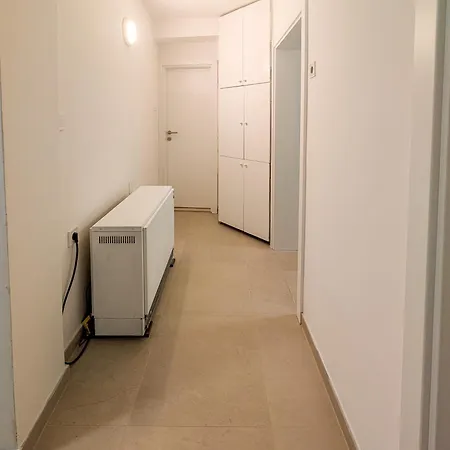 Teo מוסטר